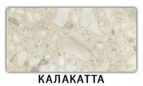 Стол обеденный Паук пластик Калакатта в Советском - sovetskiy.mebel24.online | фото 6
