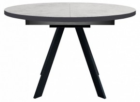 Стол обеденный RD100 в Советском - sovetskiy.mebel24.online | фото