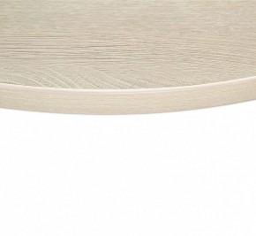 Стол обеденный SHT-TU43/TT в Советском - sovetskiy.mebel24.online | фото 3