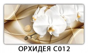 Стол раздвижной Трилогия с фотопечатью Лайм R156 в Советском - sovetskiy.mebel24.online | фото 13