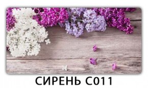 Стол раздвижной Трилогия с фотопечатью Орхидея C013 в Советском - sovetskiy.mebel24.online | фото 16