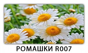 Стол раздвижной Трилогия с фотопечатью Цветы R044 в Советском - sovetskiy.mebel24.online | фото 15