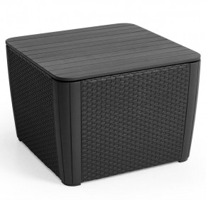 Стол-сундук Лузон Плюс (Luzon Plus Flat Wicker), графит в Советском - sovetskiy.mebel24.online | фото 3
