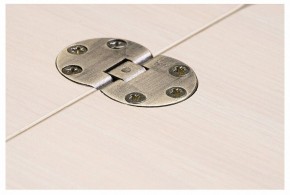Стол-трансформер Престиж в Советском - sovetskiy.mebel24.online | фото 10