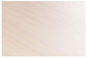 Стол-трансформер Престиж в Советском - sovetskiy.mebel24.online | фото 8