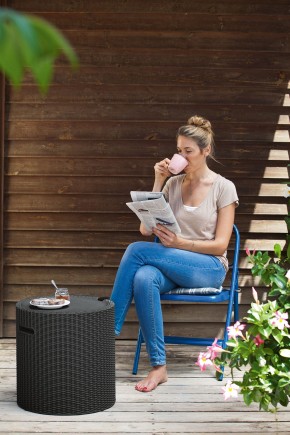 Столик-холодильник Кул-Стул (Cool stool) коричневый в Советском - sovetskiy.mebel24.online | фото 2