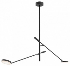 Светильник на штанге Maytoni Fad MOD070CL-L15B3K1 в Советском - sovetskiy.mebel24.online | фото