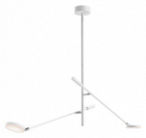 Светильник на штанге Maytoni Fad MOD070CL-L15W3K1 в Советском - sovetskiy.mebel24.online | фото