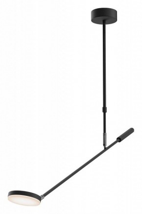 Светильник на штанге Maytoni Fad MOD070CL-L8B3K в Советском - sovetskiy.mebel24.online | фото
