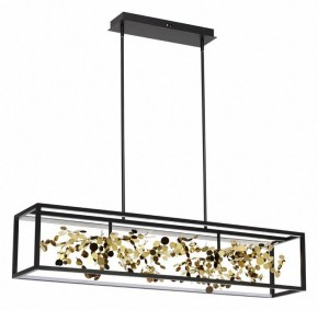 Светильник на штанге Odeon Light Bild 5065/65L в Советском - sovetskiy.mebel24.online | фото