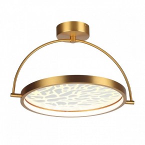 Светильник на штанге Odeon Light Solaris 6627/36CL в Советском - sovetskiy.mebel24.online | фото 3