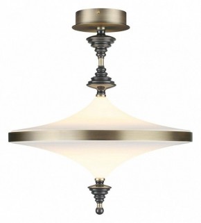 Светильник на штанге Odeon Light Ula 5404/43CL в Советском - sovetskiy.mebel24.online | фото 2