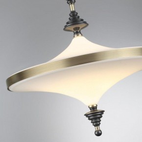 Светильник на штанге Odeon Light Ula 5404/43CL в Советском - sovetskiy.mebel24.online | фото 6
