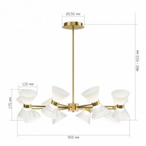 Светильник на штанге ST-Luce SPIRIT SL2004.313.12 в Советском - sovetskiy.mebel24.online | фото 3