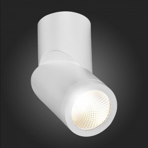 Светильник на штанге ST-Luce ST650 ST650.542.10 в Советском - sovetskiy.mebel24.online | фото 6