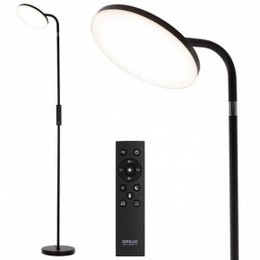 Торшер Citilux SOLO CL804061 в Советском - sovetskiy.mebel24.online | фото 2