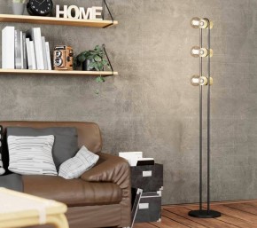 Торшер Eglo ПРОМО Chieveley 43544 в Советском - sovetskiy.mebel24.online | фото 2