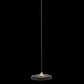 Торшер Lightstar Acrile 738773 в Советском - sovetskiy.mebel24.online | фото 5