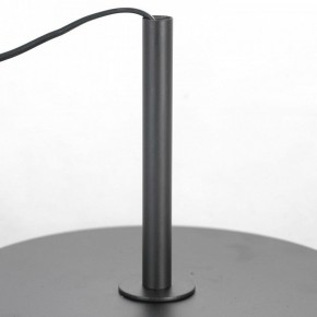 Торшер Lussole  LSP-0590 в Советском - sovetskiy.mebel24.online | фото 3