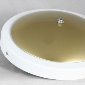 Торшер Lussole LSP-062 LSP-0625 в Советском - sovetskiy.mebel24.online | фото 2