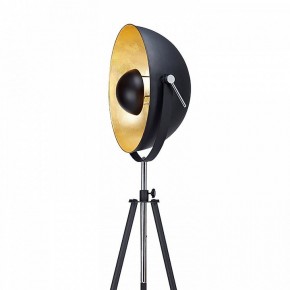 Торшер Lussole Sherrelwood LSP-9824 в Советском - sovetskiy.mebel24.online | фото 2