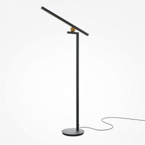 Торшер Maytoni Emphaty MOD363FL-L14B3K в Советском - sovetskiy.mebel24.online | фото 2