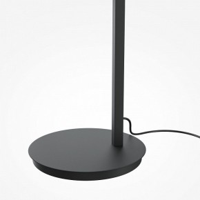 Торшер Maytoni Emphaty MOD363FL-L14B3K в Советском - sovetskiy.mebel24.online | фото 5