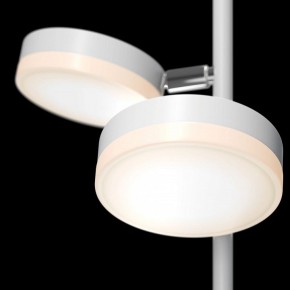 Торшер Maytoni Fad MOD070FL-L12W3K в Советском - sovetskiy.mebel24.online | фото 5