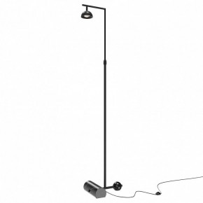 Торшер Maytoni Pikant MOD372FL-L10B3K в Советском - sovetskiy.mebel24.online | фото