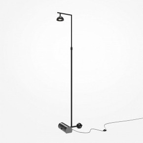 Торшер Maytoni Pikant MOD372FL-L10B3K в Советском - sovetskiy.mebel24.online | фото 2