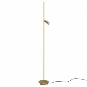 Торшер Maytoni Thin MOD395FL-L28BS3K в Советском - sovetskiy.mebel24.online | фото