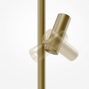 Торшер Maytoni Thin MOD395FL-L28BS3K в Советском - sovetskiy.mebel24.online | фото 6