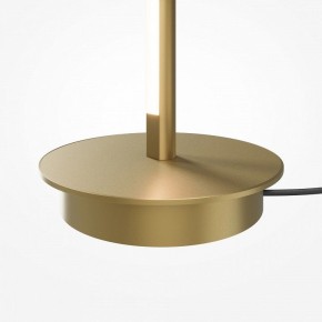 Торшер Maytoni Thin MOD395FL-L28BS3K в Советском - sovetskiy.mebel24.online | фото 7