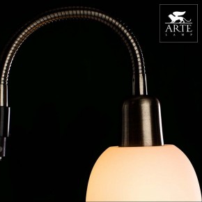 Торшер с подсветкой Arte Lamp Duetto A9569PN-2AB в Советском - sovetskiy.mebel24.online | фото 4