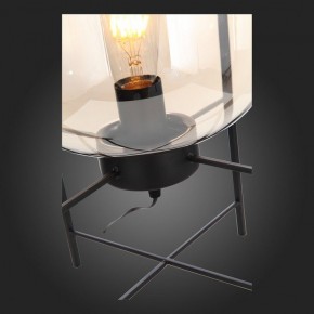 Торшер ST-Luce Burasca SL1050.505.01 в Советском - sovetskiy.mebel24.online | фото 8