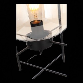 Торшер ST-Luce Burasca SL1050.505.01 в Советском - sovetskiy.mebel24.online | фото 9