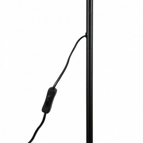 Торшер Uniel UML-T701 UL-00010188 в Советском - sovetskiy.mebel24.online | фото 8
