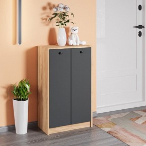 Тумба для обуви Рино в Советском - sovetskiy.mebel24.online | фото 3