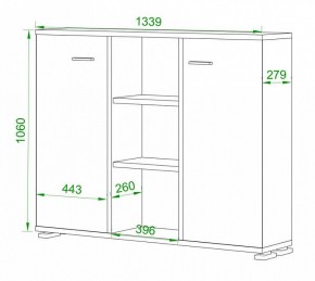 Тумба комбинированная Домино ПУ-60-3 в Советском - sovetskiy.mebel24.online | фото 2