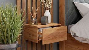 Тумба навесная Тип 1 в Советском - sovetskiy.mebel24.online | фото 6
