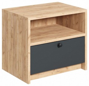Тумбочка Рино в Советском - sovetskiy.mebel24.online | фото