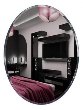Зеркало настенное Сельетта-3 в Советском - sovetskiy.mebel24.online | фото 2